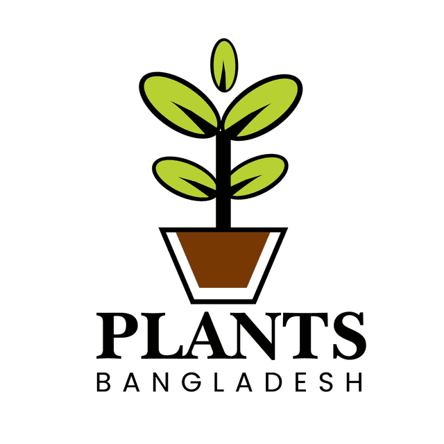 Plants bangladesh